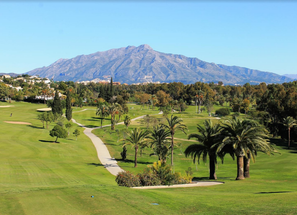 Connect with Real Golfers